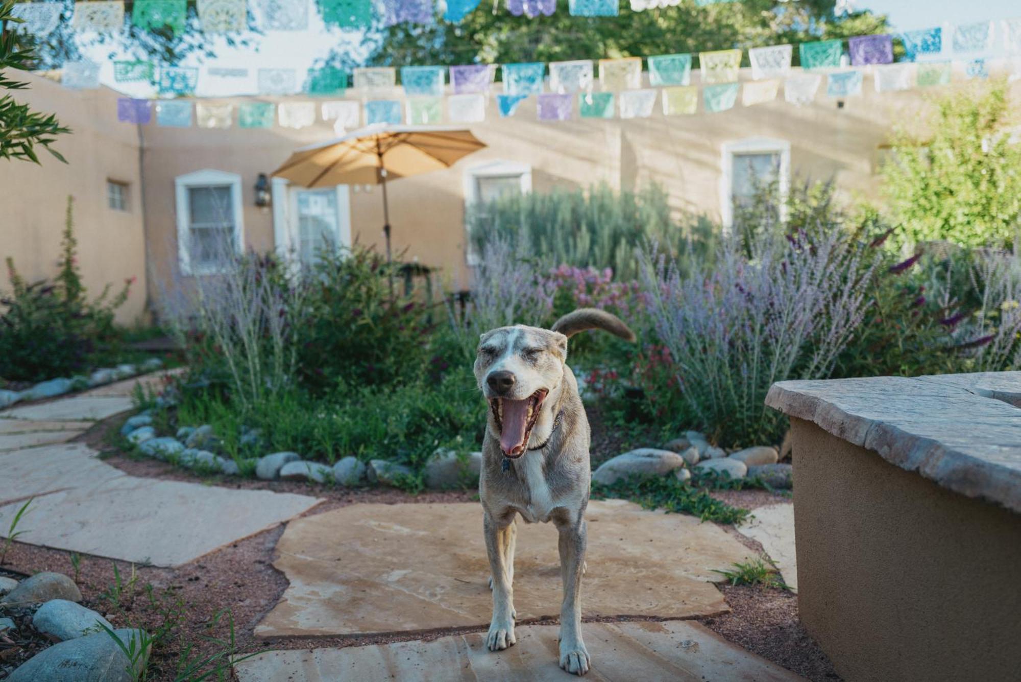 Holiday home Dos Hermanas Casita 5 Downtown Courtyard Patio *